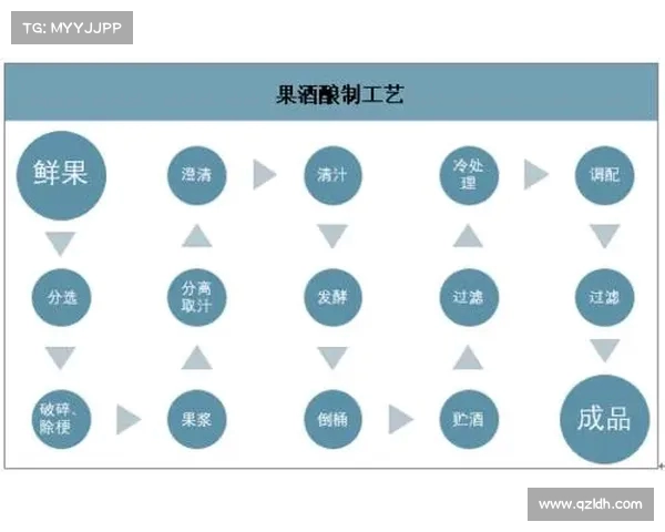 足球转会市场监管政策的现状挑战与发展趋势分析